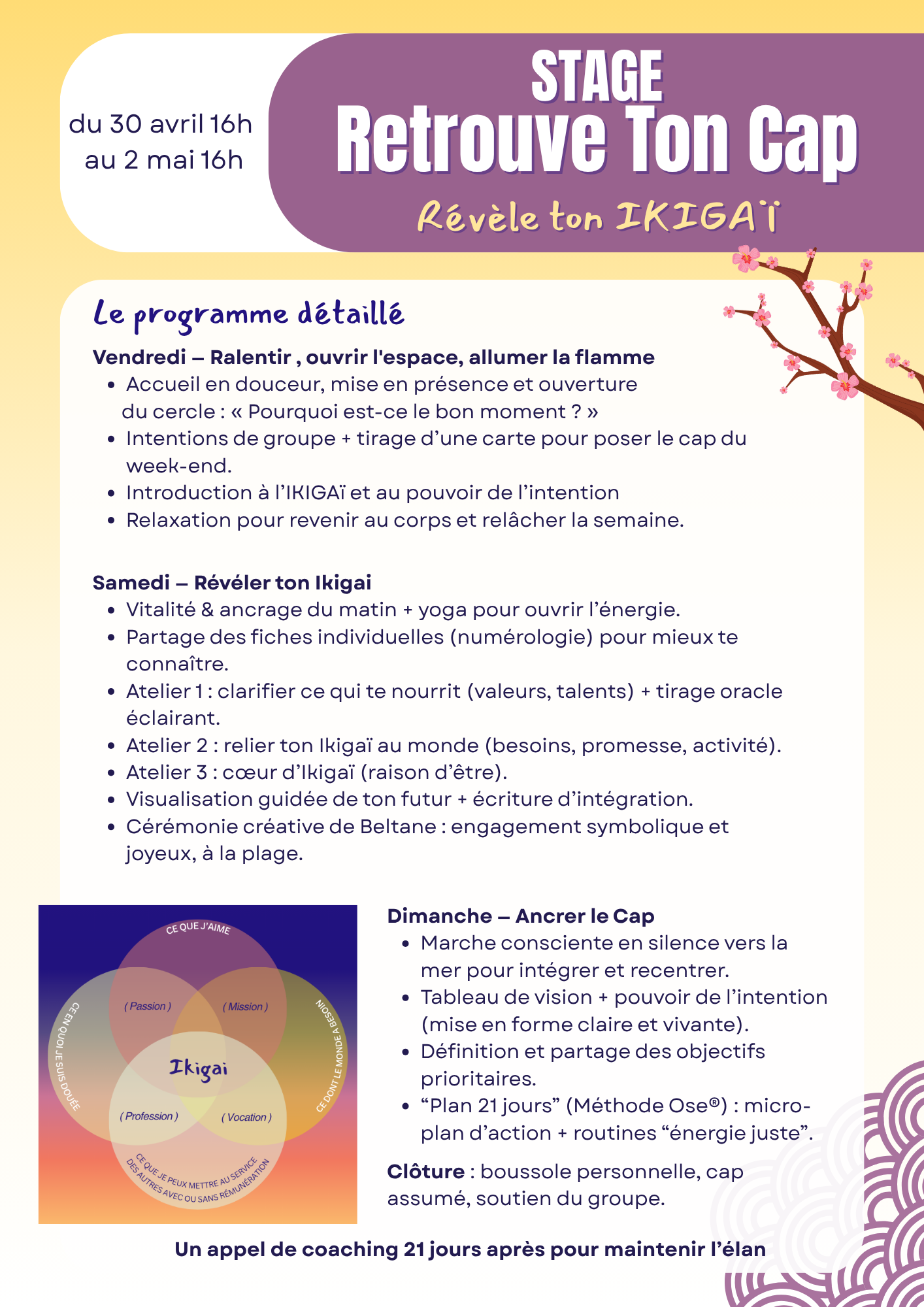Stage Immersif 🟣Retrouve ton cap🟣Révèle ton IKIGAï – Image 7